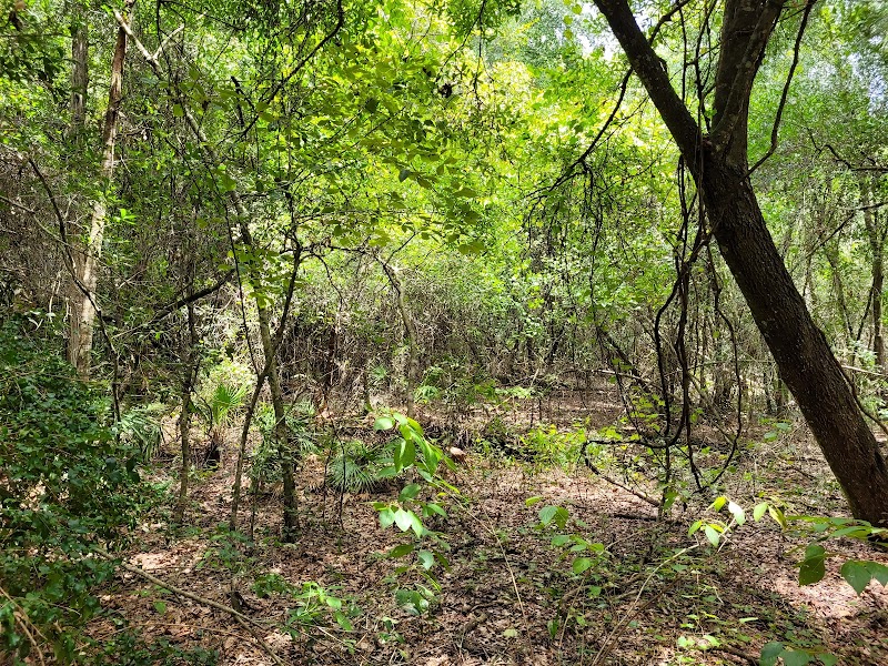 Barbara B. Pedersen Wildlife Preserve playground photo 1