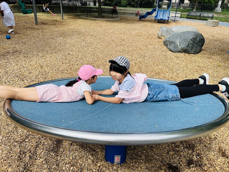 Cambridge Library Playground: Family-Friendly Play Area | Playgrounds ...