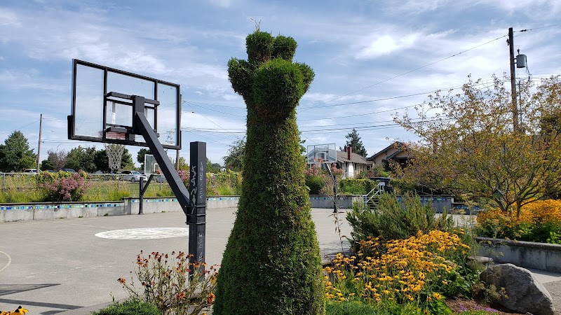 Colman Playground: Top Seattle Park for Families | Playgrounds Near Me