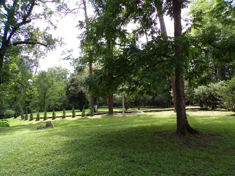 Dr. William Green Lee Camellia Garden playground photo 3