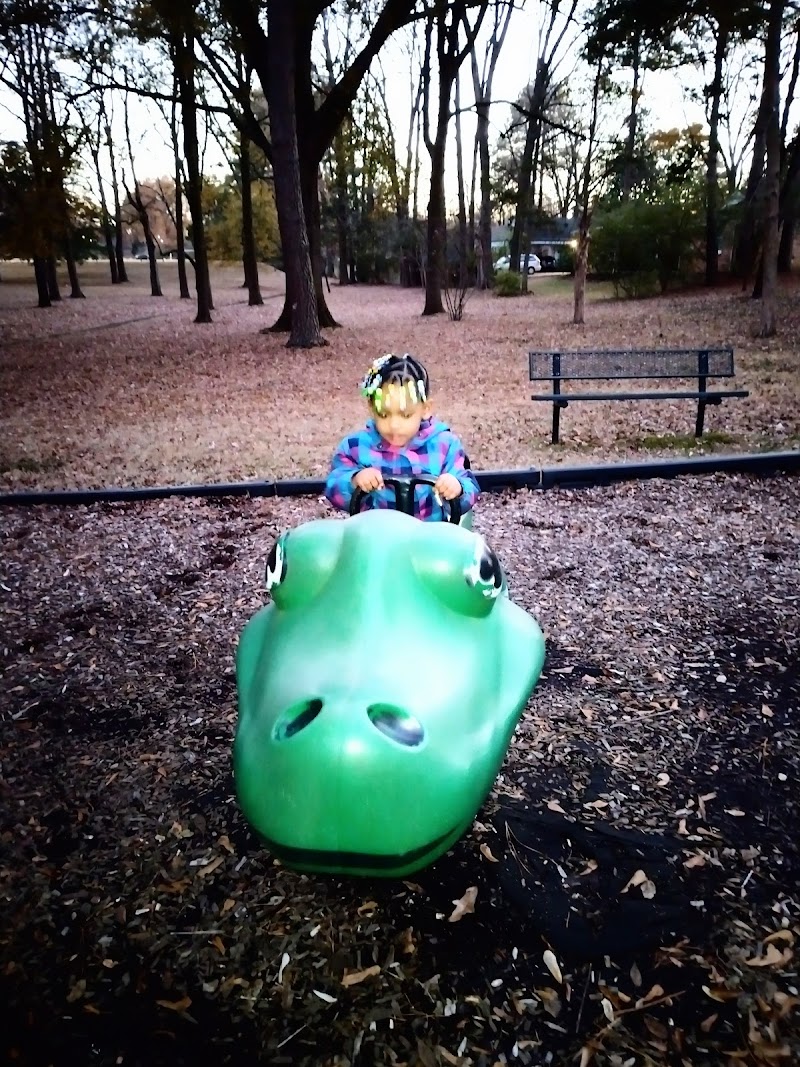 Everybody's Tree House: Premier Playground in Germantown | Playgrounds ...