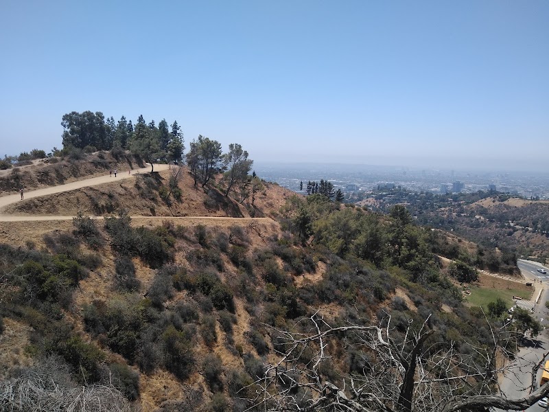 Fern Dell Nature Preserve: Family Fun in Griffith Park | Playgrounds ...