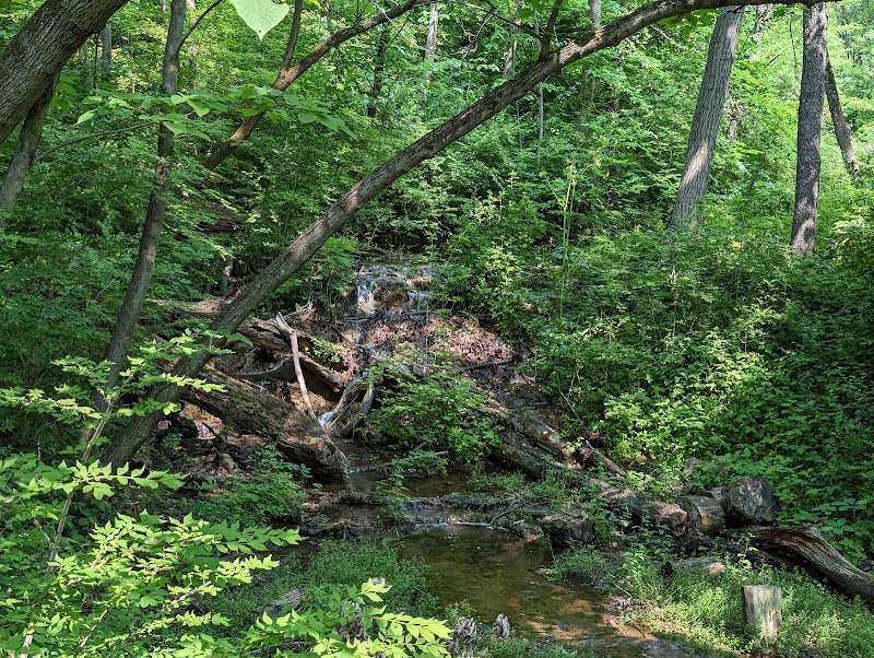 Fox Bluff Conservation Area playground photo 2