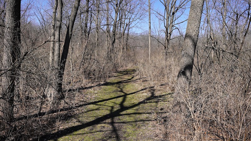 Fox Bluff Conservation Area playground photo 3