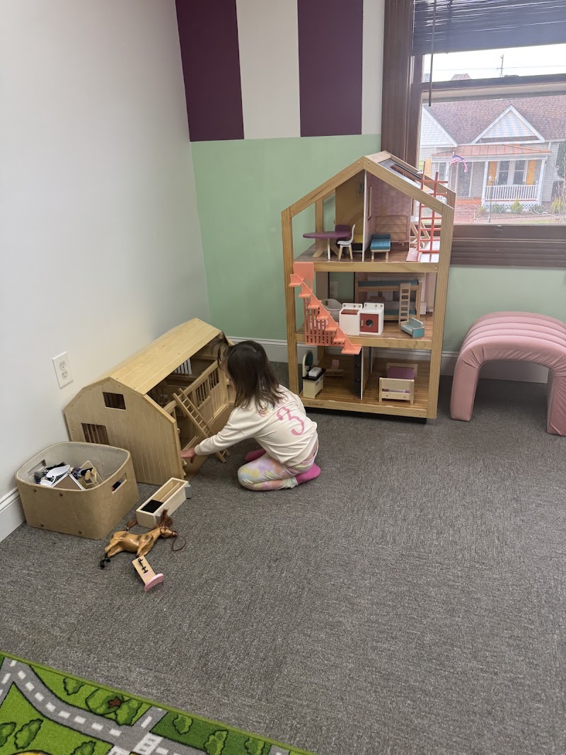 Little Social playground photo 2