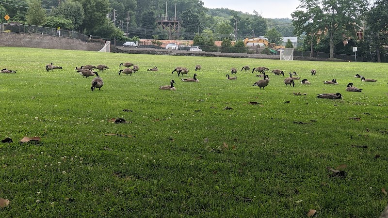 Stagg Field: Family-Friendly Playground in West Orange | Playgrounds ...